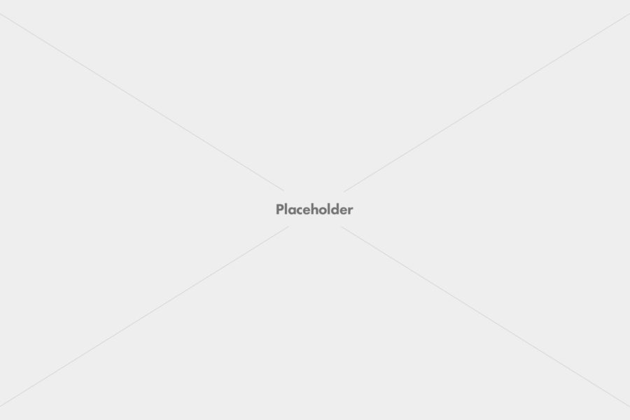 Good choose: Business WordPress theme
